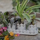 Planters With Tray: White Planters With Tray: White