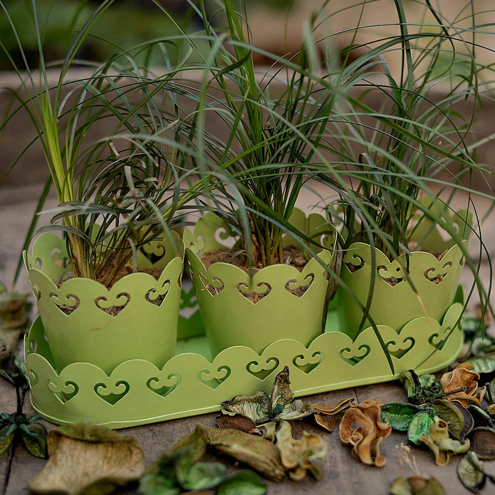 Planters With Tray: Green Planters With Tray: Green