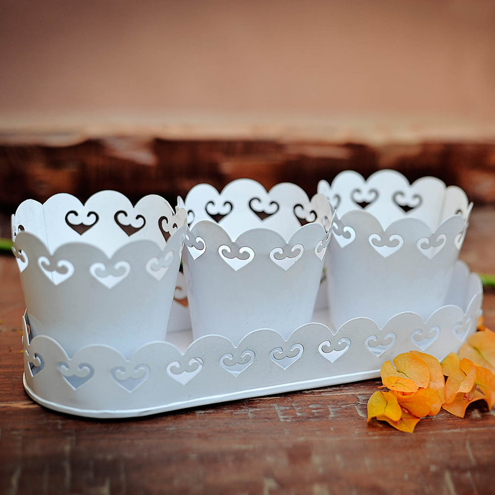 Planters With Tray: White Planters With Tray: White