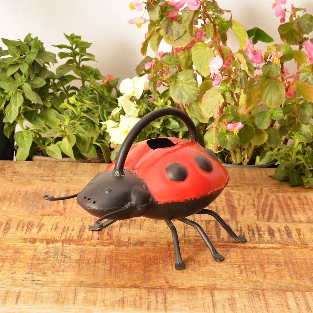 Lady Bug Watering Can