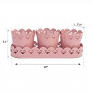 Planters With Tray: Pink