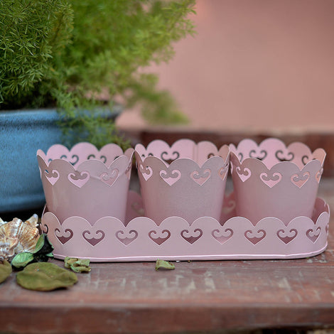 Planters With Tray: Pink